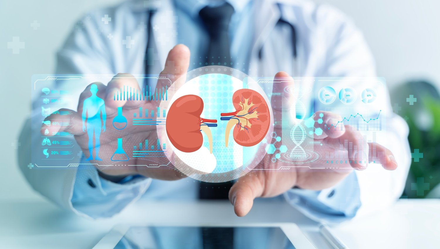 Kidney and liver treatment